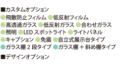 カスタムオプション／高透過ガラス・低反射ガラス・飛散防止フィルム・LEDスポットライト・免震