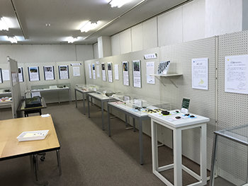 様似町教育委員会　特別展　展示風景